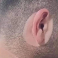 Pitucho, onde mora o amor? - Episódio 113