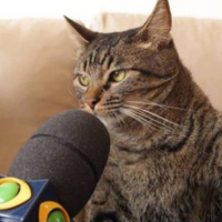 Fomos longe demais - Episódio 100