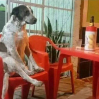 O propósito da fofoca - Episódio 90