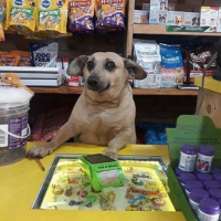 Tem um bofe escândalo aí? - Episódio 88