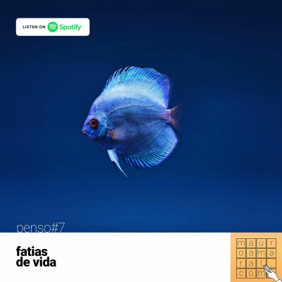 Falafreela - Carreirasolo.org