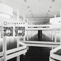 Podcast 510 – Luciana Guimarães – A Bienal das afinidades afetivas