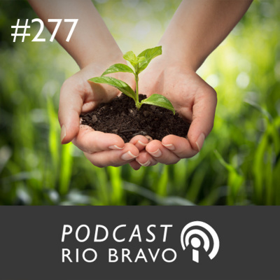 Podcast Rio Bravo