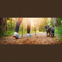 Doing Capitalism Differently -- One Backpack at a Time