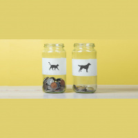 Do You Prefer Cats or Dogs? Why Self-expression Increases Giving