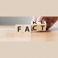 How Misinformation Hurts Democracy