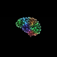 Neuroscience Can Help You Become a Better Leader