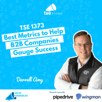 TSE 1373: Best Metrics to Help B2B Companies Gauge Success