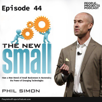 Think Small! An interview With Phil Simon, Author Of The New Small