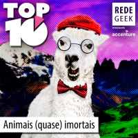 TOP 10 - Animais (quase) imortais