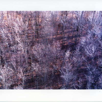 Undisclosed