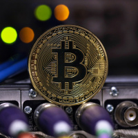 Digital coin mania