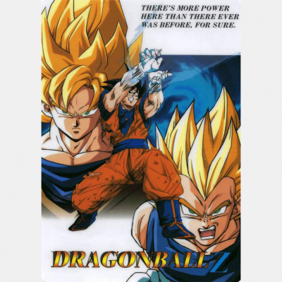 The Next Dimension: A Dragon Ball Z Podcast