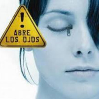 EL TERAPEUTA EN INTERNET: LAS CRISIS PERSONALES