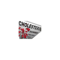 HH • Cholesterols Athletic Performance