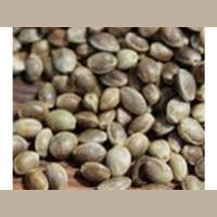 Paul Gaylon Joins Us To Discuss All Things Hemp!