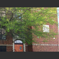 EPA Whistleblower ~ Dr. David Lewis, Author Science For Sale