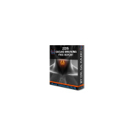 Dr. Gil Kajiki - Balancing Thyroid and Auto Immune Conditions