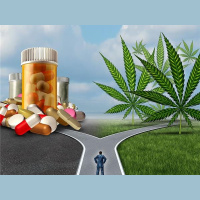 The Choice Is YOURS! Medical Cannabis Or Prescription Opioids