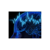 How Agile is Your Brain?