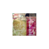 A Fermented Lifestyle of Health and Probiotic Happiness.