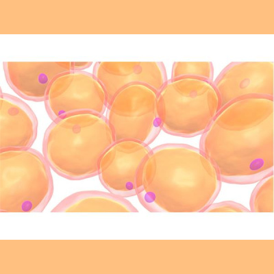 Sound Health Options - Ttmg  Sharry Edwards