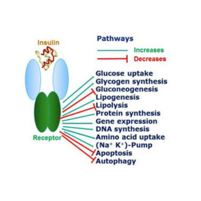 Sound Health Options - Ttmg  Sharry Edwards
