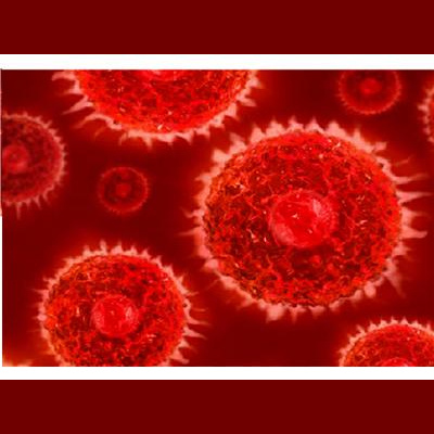 Sound Health Options - Ttmg  Sharry Edwards