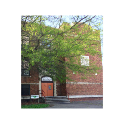 Sound Health Options - Ttmg  Sharry Edwards