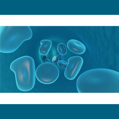 Sound Health Options - Ttmg  Sharry Edwards