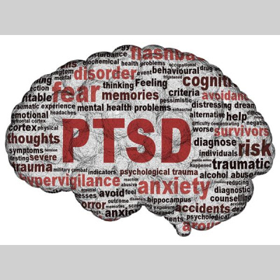 Sound Health Options - Ttmg  Sharry Edwards