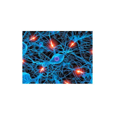 Sound Health Options - Ttmg  Sharry Edwards