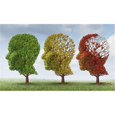 Sound Health Options - Ttmg  Sharry Edwards