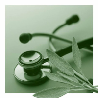 Podcast #19: Naturopathic Medicine, Nutrition  Performance