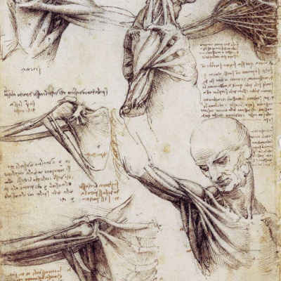 Ben Greenfield Fitness: Diet, Fat Loss And Performance