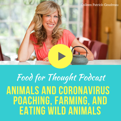 Food For Thought: The Joys And Benefits Of Living Vegan