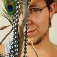 EA277 - Community Memory and a Thin Veil