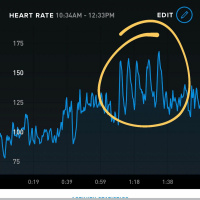 How to Live Longer and Have a Healthier Heart