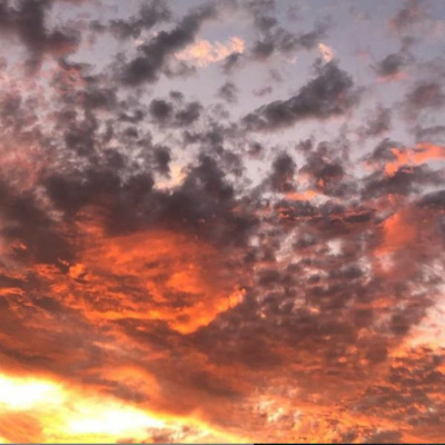 Mike Cernovich Podcast