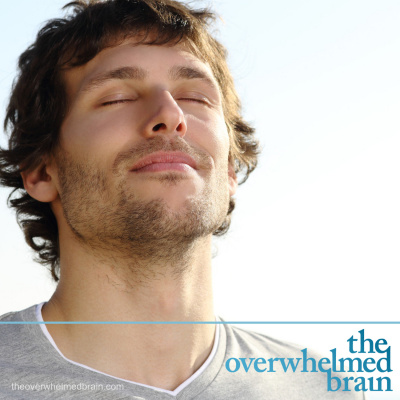 The Overwhelmed Brain | Stress | Anxiety | Relationship | Critical Thinking | Emotional Intelligence | Emotional Abuse