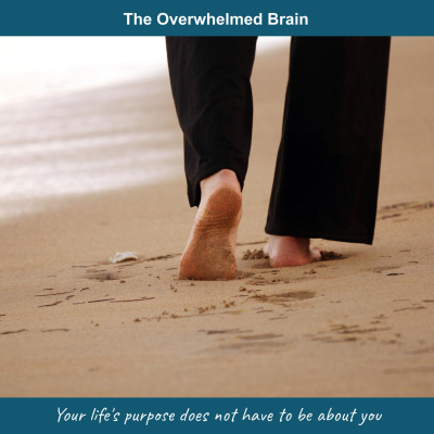 The Overwhelmed Brain | Stress | Anxiety | Relationship | Critical Thinking | Emotional Intelligence | Emotional Abuse