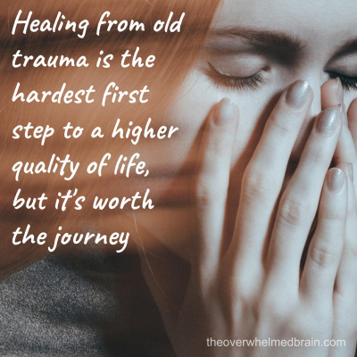 The Overwhelmed Brain | Stress | Anxiety | Relationship | Critical Thinking | Emotional Intelligence | Emotional Abuse