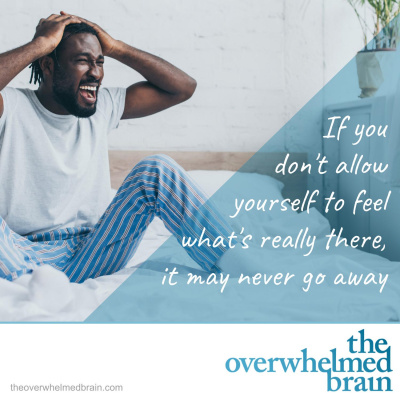 The Overwhelmed Brain | Stress | Anxiety | Relationship | Critical Thinking | Emotional Intelligence | Emotional Abuse