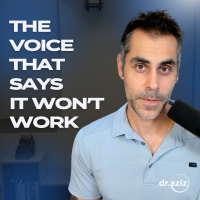 The Voice That Says It Wont Work