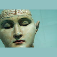 Master the Supercomputer that is your Mind, Complete with Coach Case Study