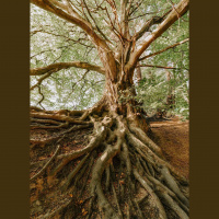 Destroy the ROOT cause of your problems.