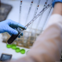 Das Freiwillige Wissenschaftliche Jahr