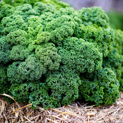 Deutsche Im Alltag - Alltagsdeutsch | Deutsch Lernen | Deutsche Welle