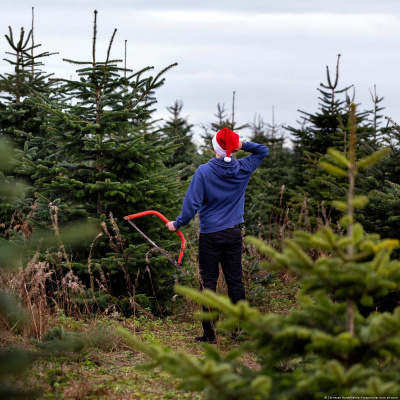 Deutsche Im Alltag - Alltagsdeutsch | Deutsch Lernen | Deutsche Welle
