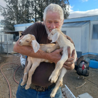 Sign Painter Bob Dewhurst: Ten Years After